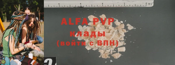гашик Касимов