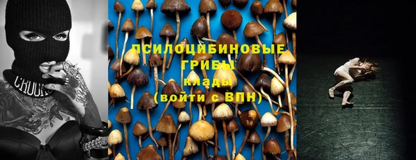гашик Касимов