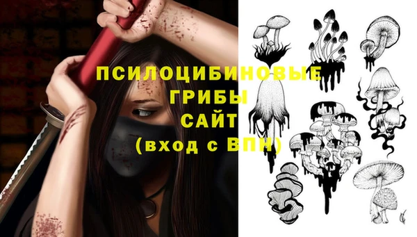 амф Карпинск