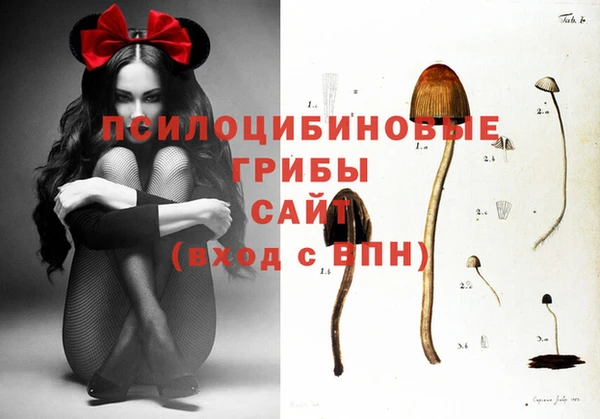 амф Карпинск