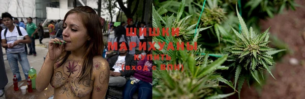 гашик Касимов