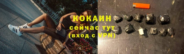 гашик Касимов